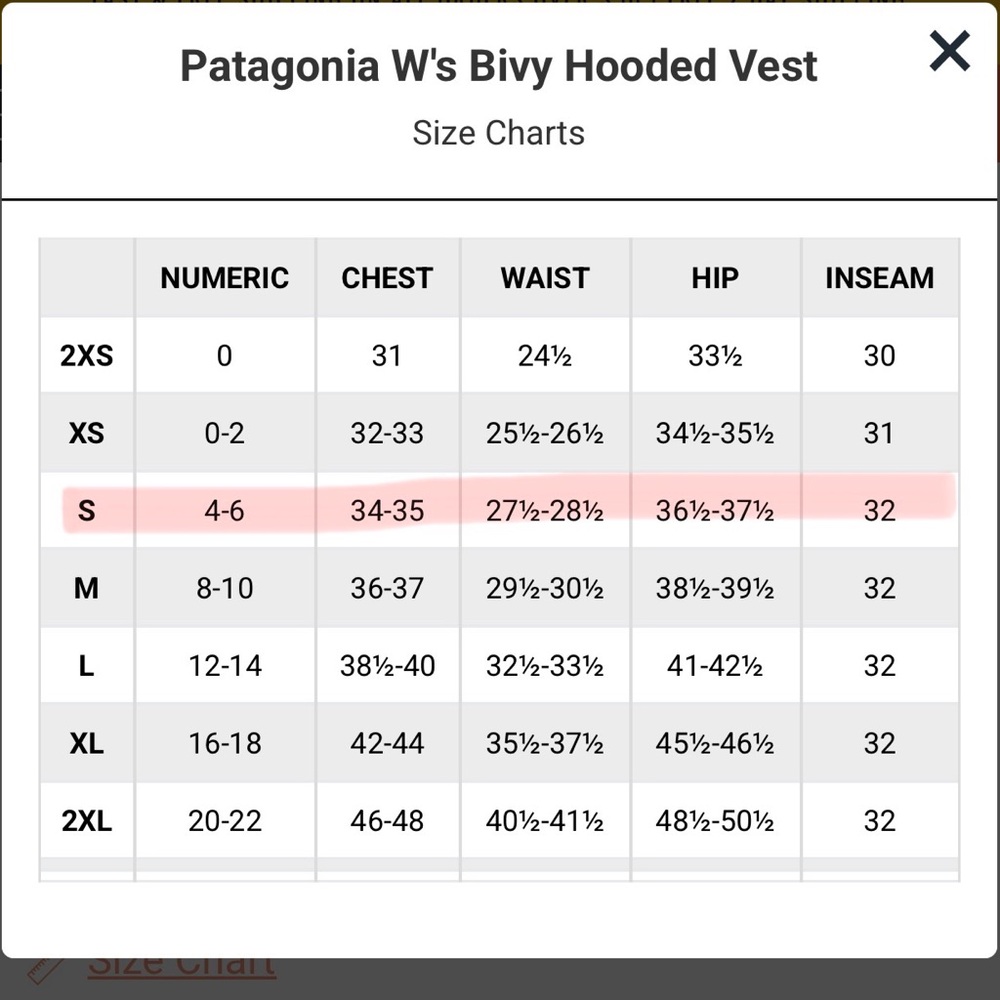 PATAGONIA W'S BIVY HOODED VEST - Picture 11 of 12
